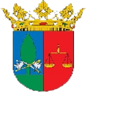 Navega per Seu Electrònica AJUNTAMENT DE SALEM